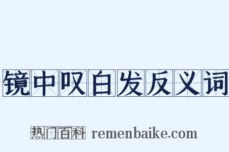 镜中叹白发反义词是什么意思的图片